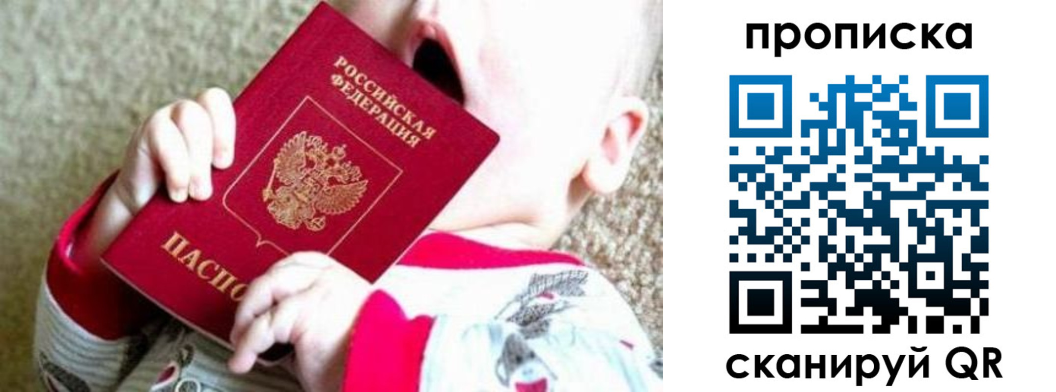 прописка законно в Белгороде